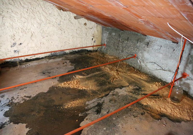 Water Damage Ceiling Repair in Denver County, CO