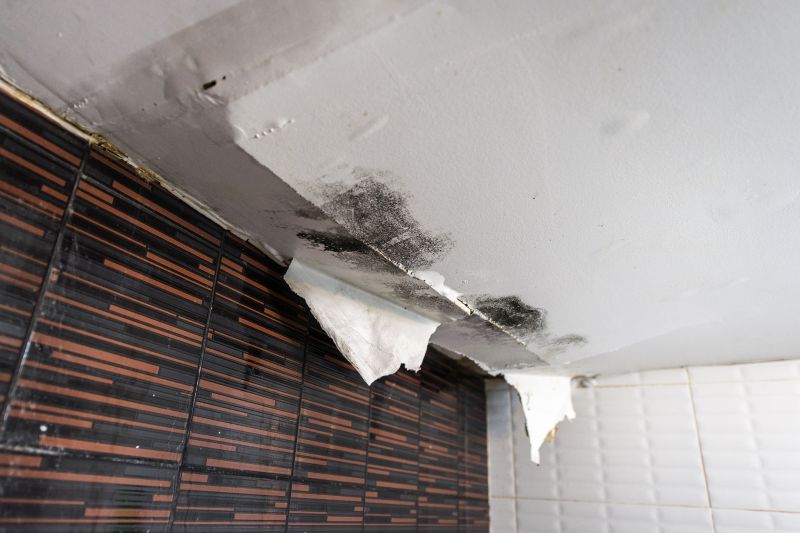 Ceiling Leak Repair Service in Littleton, CO