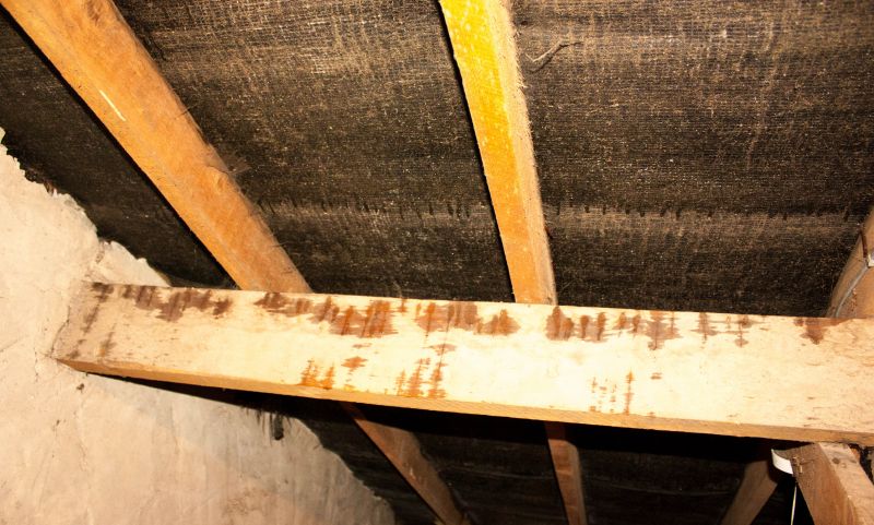 Crawl Space Remediation in Charleston, SC
