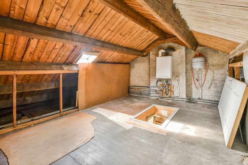 Crawl Space Remediation in Katy, TX